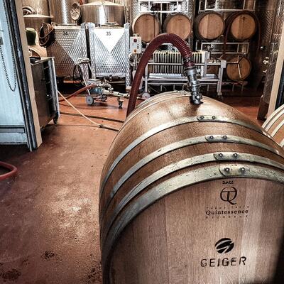 WEINLESE 2024 Die ersten Fässer sind gefüllt, hier mit Gundwein für den neuen Pinot Blanc Crement. #Sekt #pfalz…