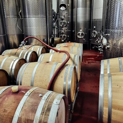 VORBEREITUNG ZUR ABFÜLLUNG Während die letzten Weine noch Gären, bereiten wir die Abfüllung der Rotweine Spätburgunder…