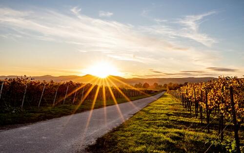 November-News: Wunderschöne Herbstwochen