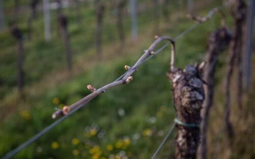 APRIL-NEWS: Der April macht was er will