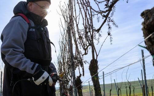 DEZEMBER-NEWS: WINTERARBEIT
