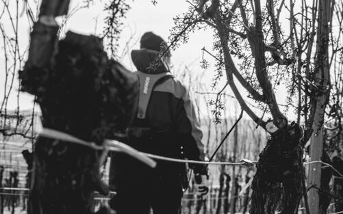 JANUAR-NEWS: AUF EIN NEUES