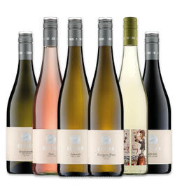 WEINPAKET: UNSERE BESTSELLER